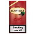 HARVEST BLACK CURRANT (5 x 30 gr)